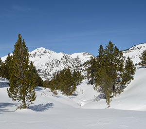 Refuge de Sorteny