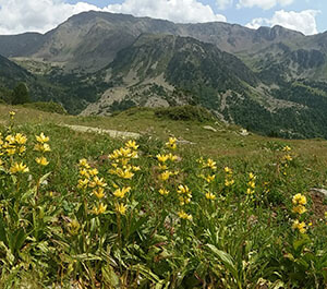 Refuge de Sorteny