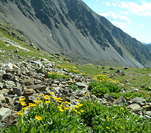 Refugio de Sorteny