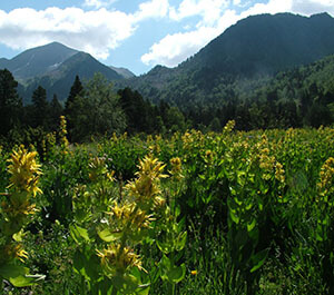 Refuge de Sorteny