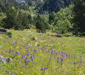 Refuge de Sorteny