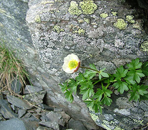 Refuge de Sorteny