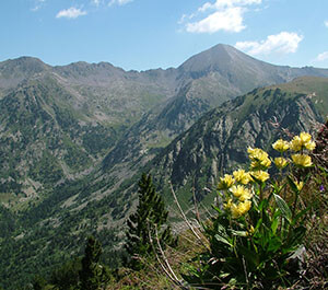 Refugio de Sorteny