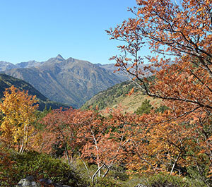 Refugio de Sorteny