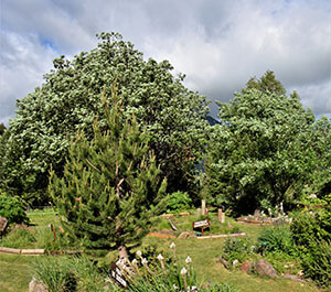 Refugio de Sorteny