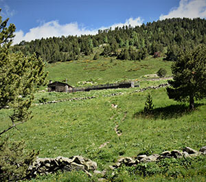 Refugio de Sorteny